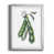 Argent