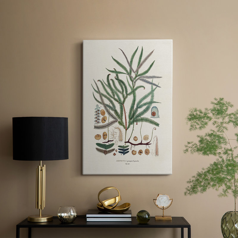 Fougères de la Botanical Society - galerie Cavas sur mesure, H 48 po x l 32 po