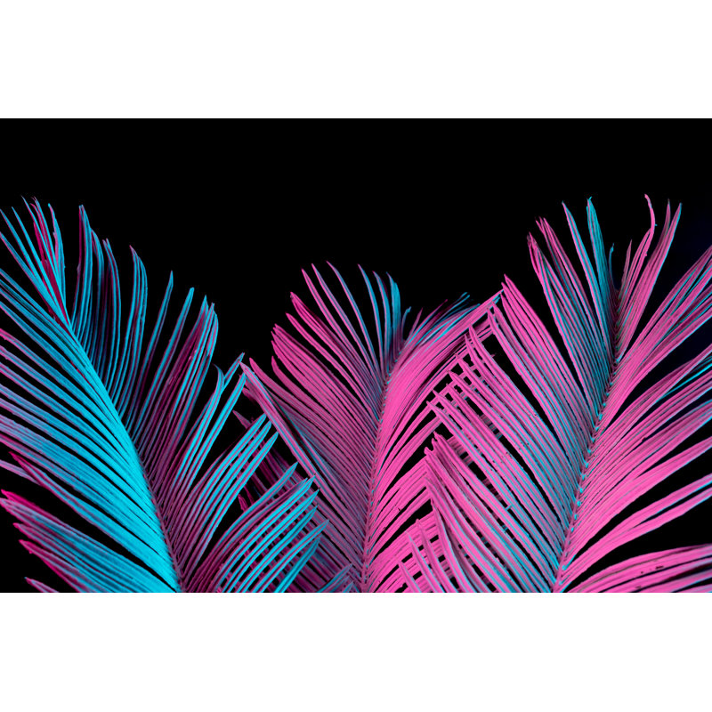 Tropical And Palm Leaves - Wrapped Canvas Print, 61cm H x 91cm W