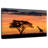 Alvord Masai Mara Giraffe At Sunset-107701240