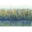 «Wildflower Reflection I» par Timothy O Toole, reproduction d'art sur toile-445511052-445511152-516365839