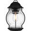 Lanterne murale d'extérieur 1 lumière Landrienne-799798062