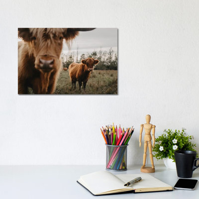 The Highland Cows by Chelsea Victoria - Wrapped Canvas Gallery-Wrapped Canvas Giclée