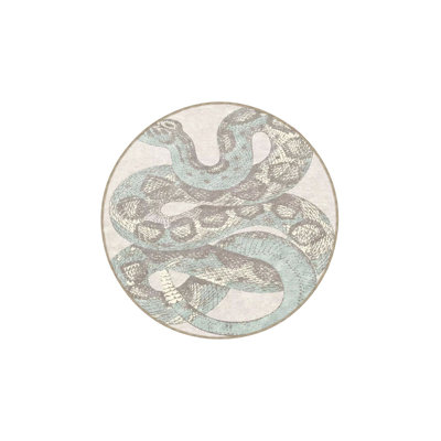 Snake Patterned Decorative Rug