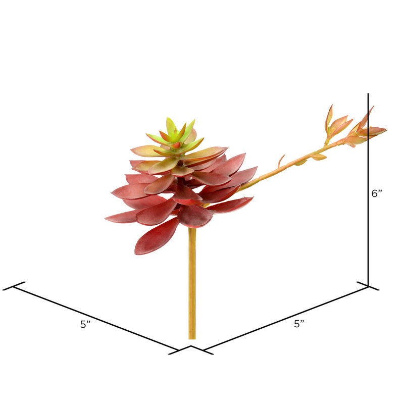 Tige d’agave, Mauve/vert
