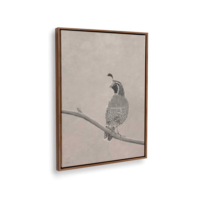 Quail Sketch by Cat Thurman Designs Art Print
