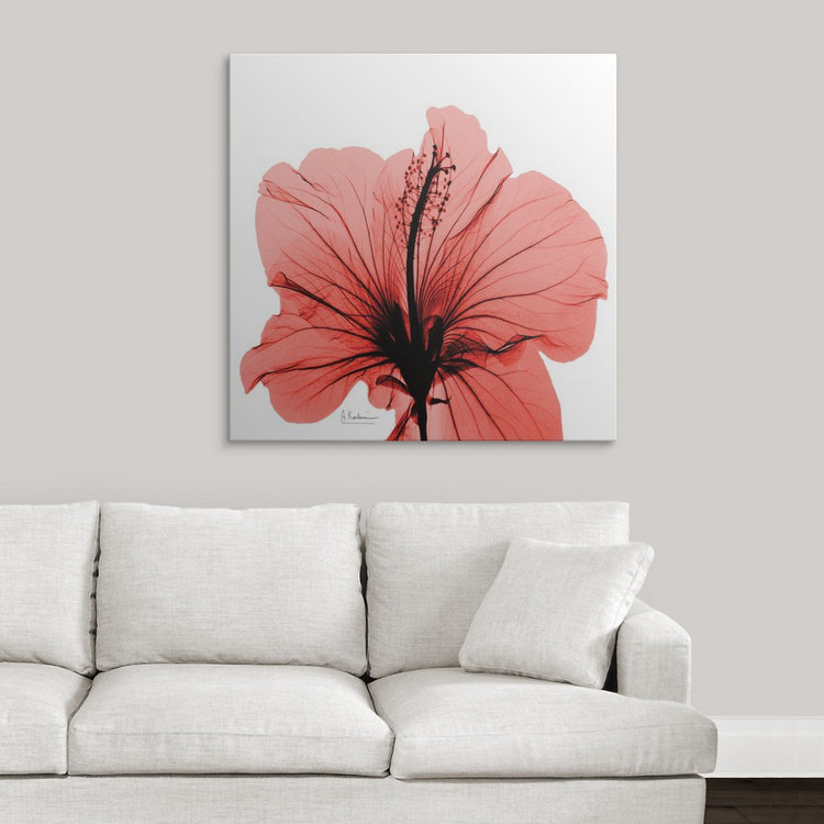 «Manigault», Hibiscus X-Ray par Kiranjit, reproduction de photo, H 30 po x l 30 po x P 1,5 po, Toile