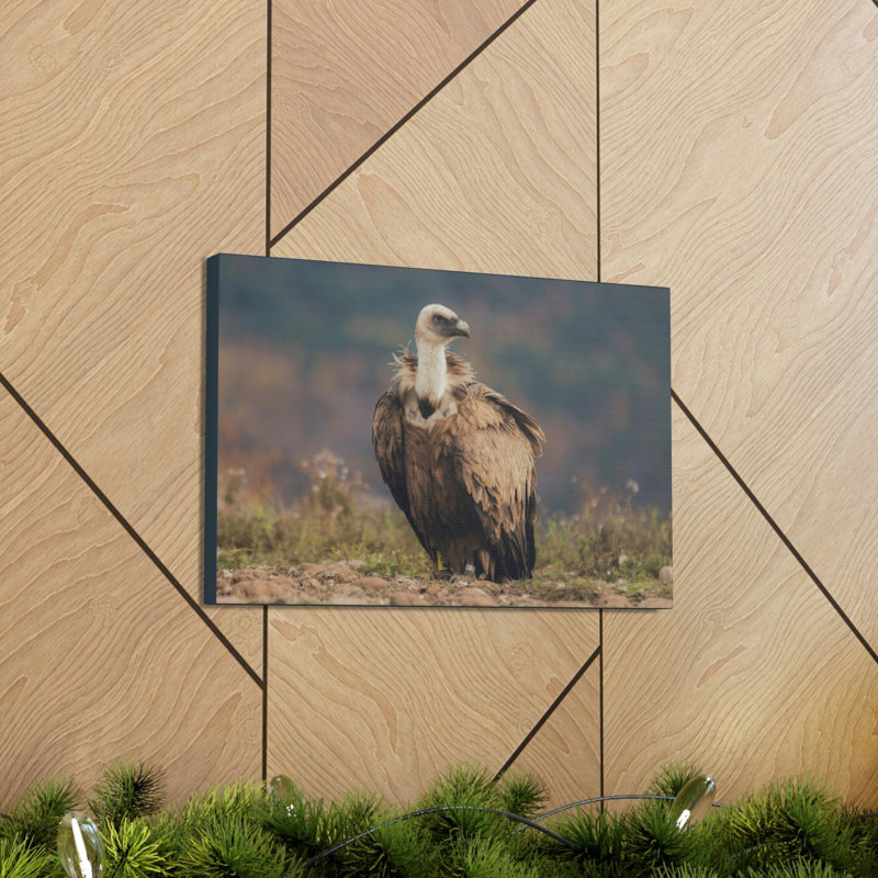 Art mural majestueux vautour, H 12 po x l 18 po