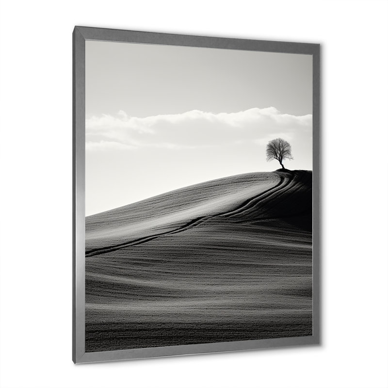 «Black and White Desert Scenery - Meadow», reproduction d'art sur toile_106452, H 20 po x l 12 po x P 1 po