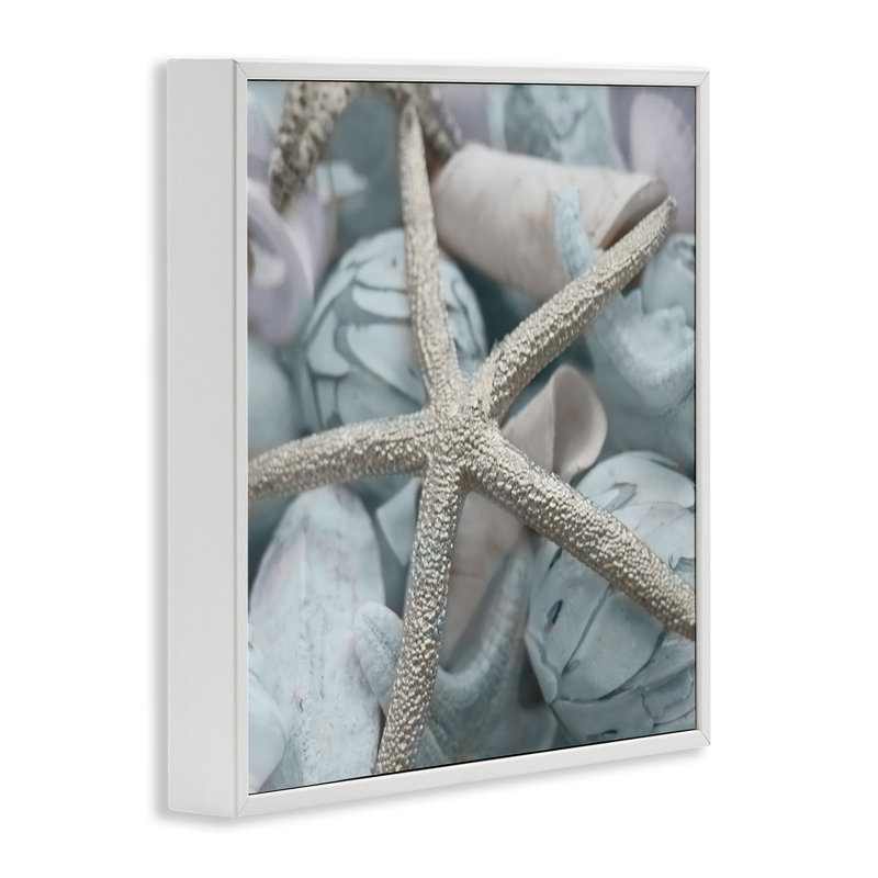 Étoile de mer et coquillages variés, estampe numérique encadrée par Susan Bryant, H 12 po x l 12 po