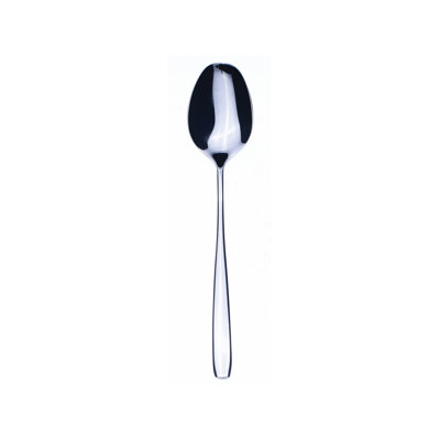 Avanguardia Stainless Steel Dinner Spoon