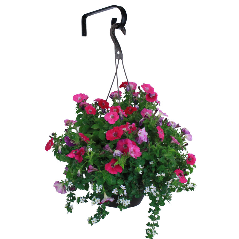 Bracket Plant Stand