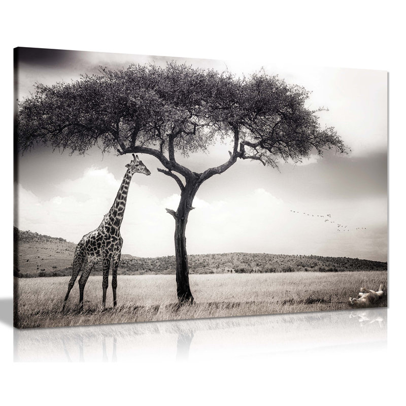 Safari Wildlife Giraffe & Playful Lion - Wrapped Canvas Art Prints, 20cm H x 31cm W