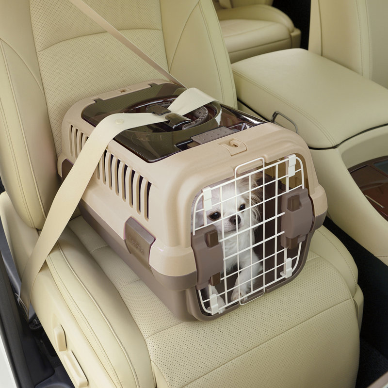 Small Brown Double Door Pet Carrier with Clear Top
