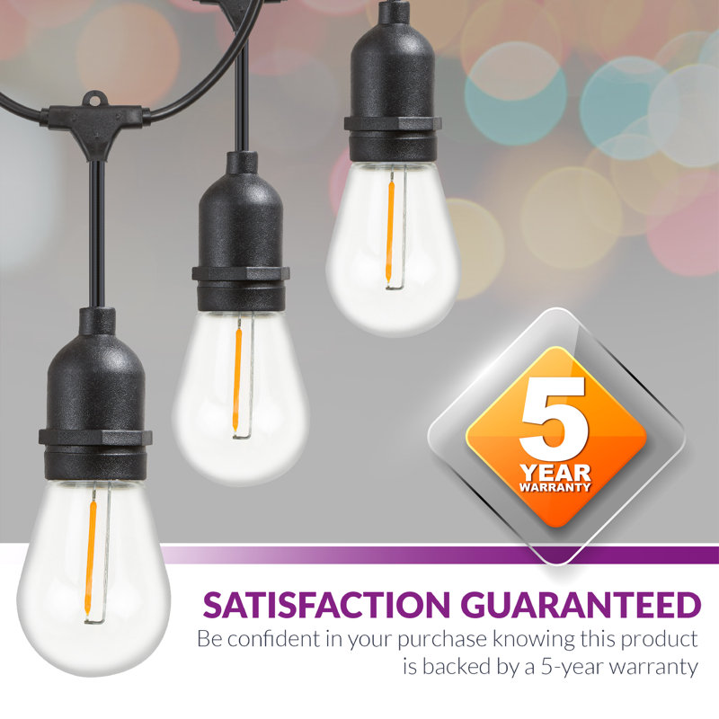 Burroughs  48' Outdoor 15 - Bulb Standard String Light, Black
