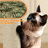 Siegfried Multi-Level Cat Tree-1738753546
