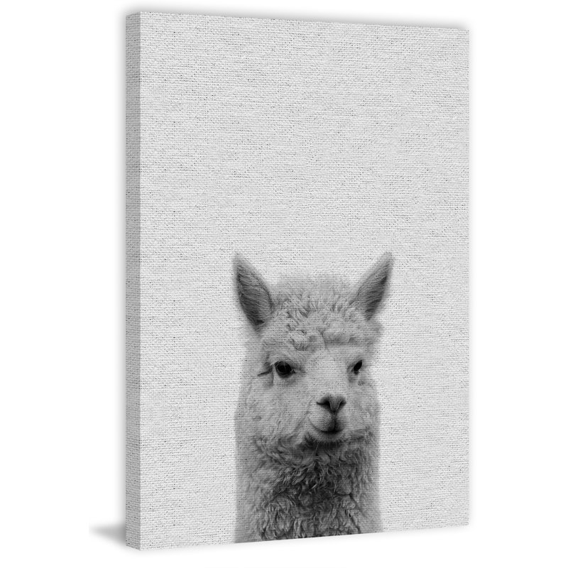 Llama Surprise II - Drawing on Canvas, 30cm H x 20cm W