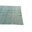 Tapis bleu Noe