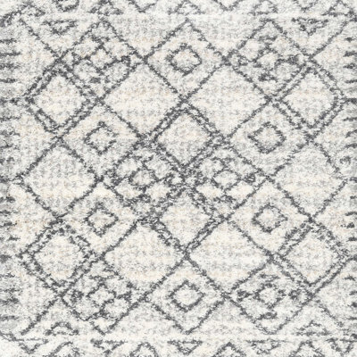 Geometric Indoor Rug