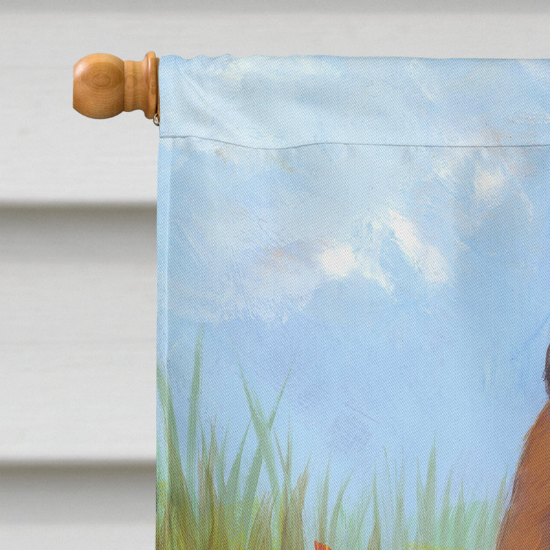 Drapeau de maison Hvidovre Sheltie Halloween en polyester à 2 faces 3 x 2 pi, Beagle chasseur chassé