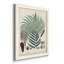 Collection Ferns I - ensemble de 4 reproductions d'art sur toile encadrées-992879645-992879646