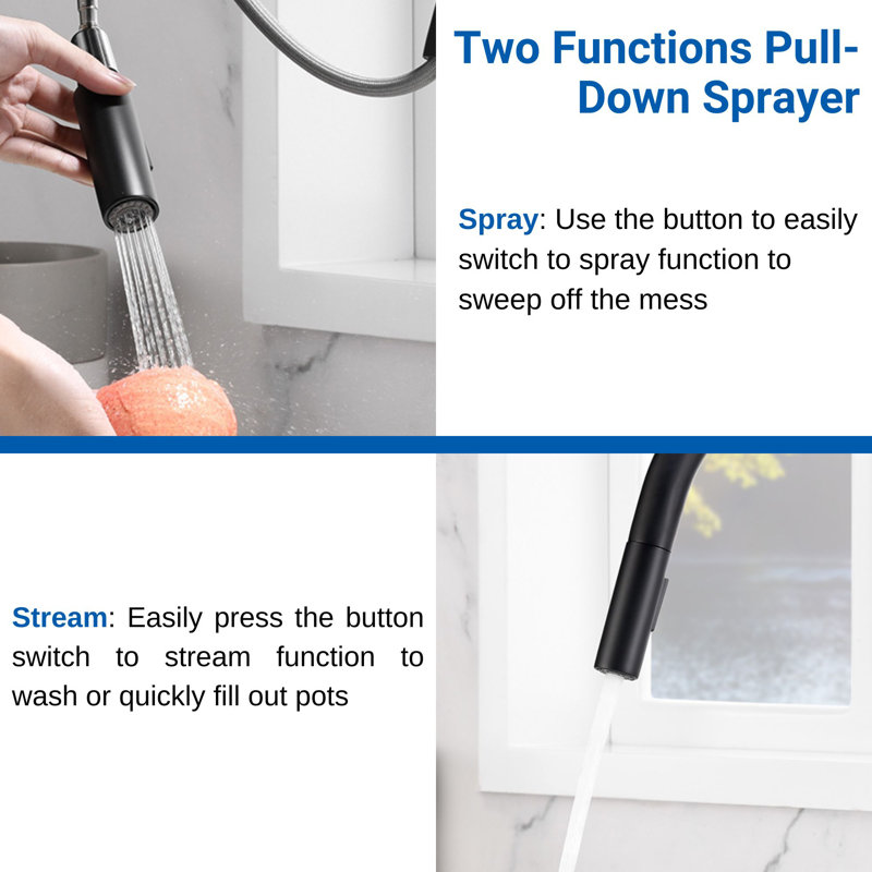 Matte Black Single-Hole Pull-Out Spray Kitchen Faucet
