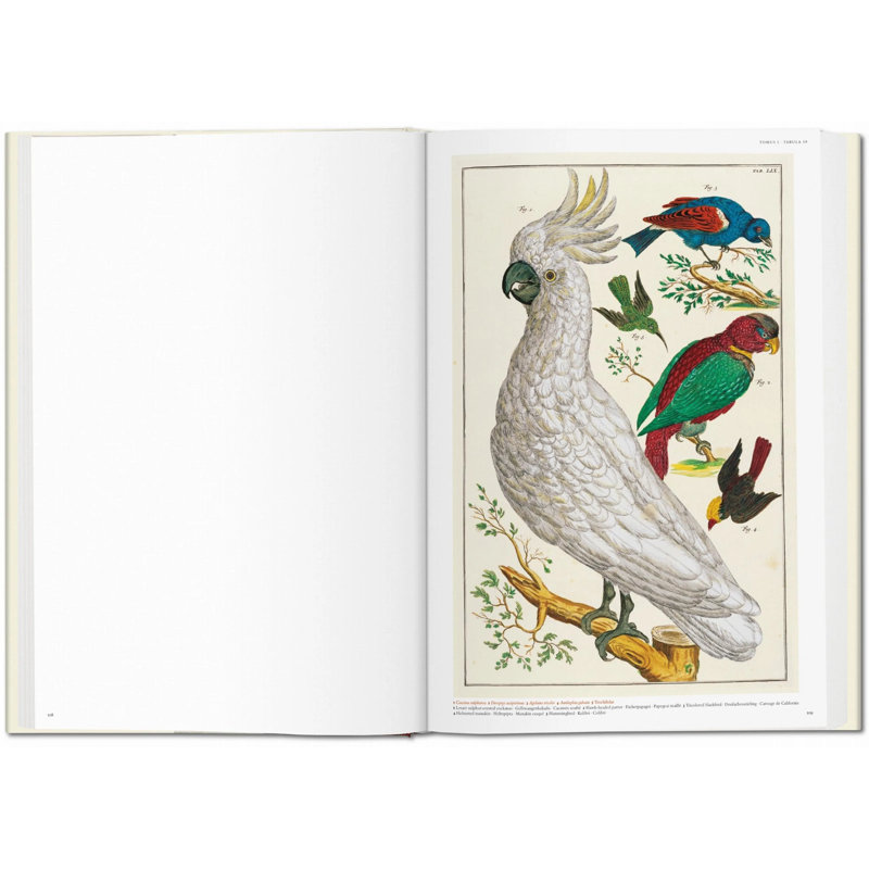 Seba Cabinet Of Natural Curiosities