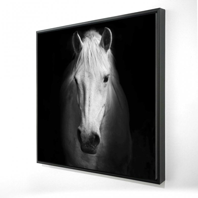 " Monochrome Horse "