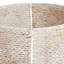 Water Hyacinth Tree Collar