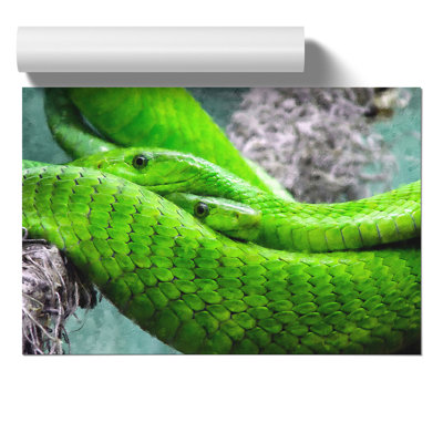 Green Mamba Snakes Painting - Frameless Print