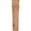 Attelle impériale du genou-29309856-31229279-87149309