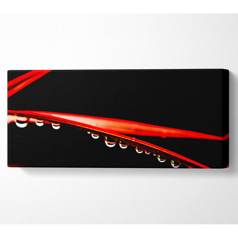 Hanging On - Wrapped Canvas Print, 50.8cm H x 121.9cm W x 10cm D