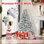6 arbres de Noël