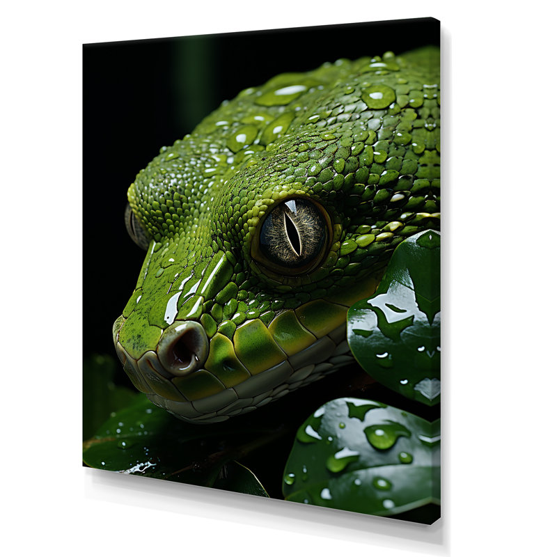 Serpent émeraude enroulé sur toile, H 32 po x l 24 po x P 1 po, Toile tendue