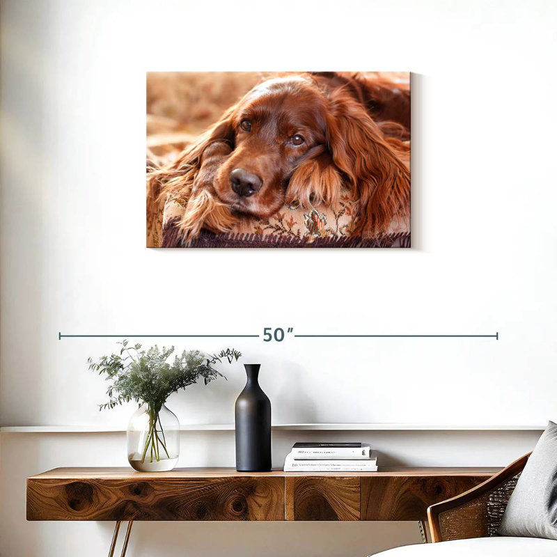 Setter irlandais Brampt, H 20 po x l 30 po
