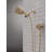 7-Setting PivotPro 3-in-1 Combination Shower Head with ProClean High Pressure Spray 2.5 GPM Brushed Gold-116423707