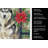 Agouti Siberian Husky Christmas PoinsettIas Kitchen Towel-2080584158