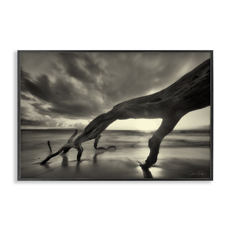 Tronc d'arbre sur la côte, estampe numérique encadrée par Dennis Frates, Giclée encadrée noir minuit, H 12 po x l 18 po