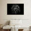 Ziggy Portrait-107672498
