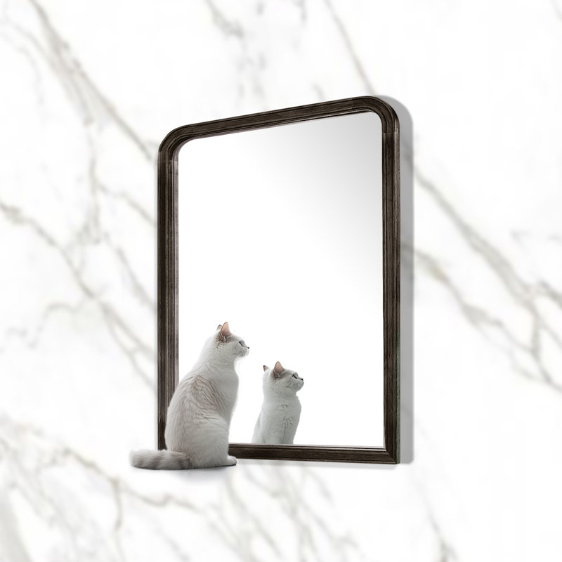 Bathroom/Vanity Wall Mirror with Wood Frame, 24" x 18", Black
