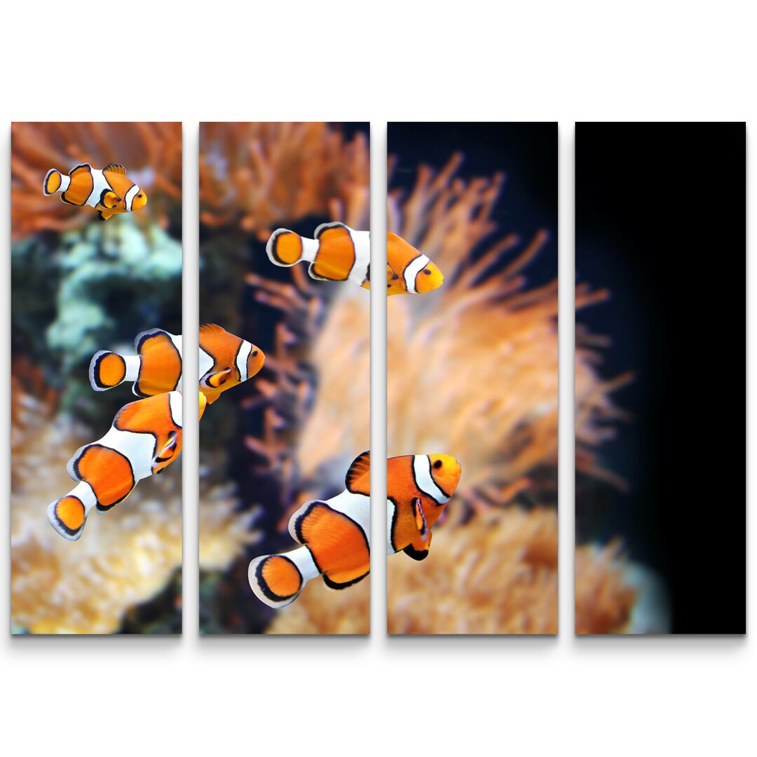 4-tlg. Leinwandbilder-Set Clownfisch und Seeanemone