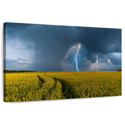 Alvord Wheat Field Thunderstorm
