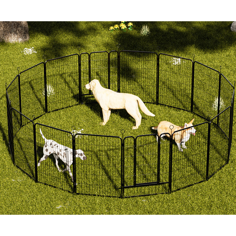 Parc d'exercice intérieur et extérieur pour chien