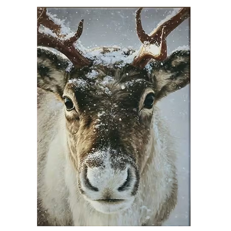 1 Piece Wrapped Canvas Wall Art, 60cm H x 40cm W