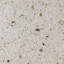 SeaTile 12" x 12" Seashell Wall & Floor Tile