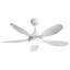 Ceiling Fan with LED Lights