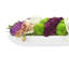 Orchidée Adelina et arrangement de plantes grasses-31174354