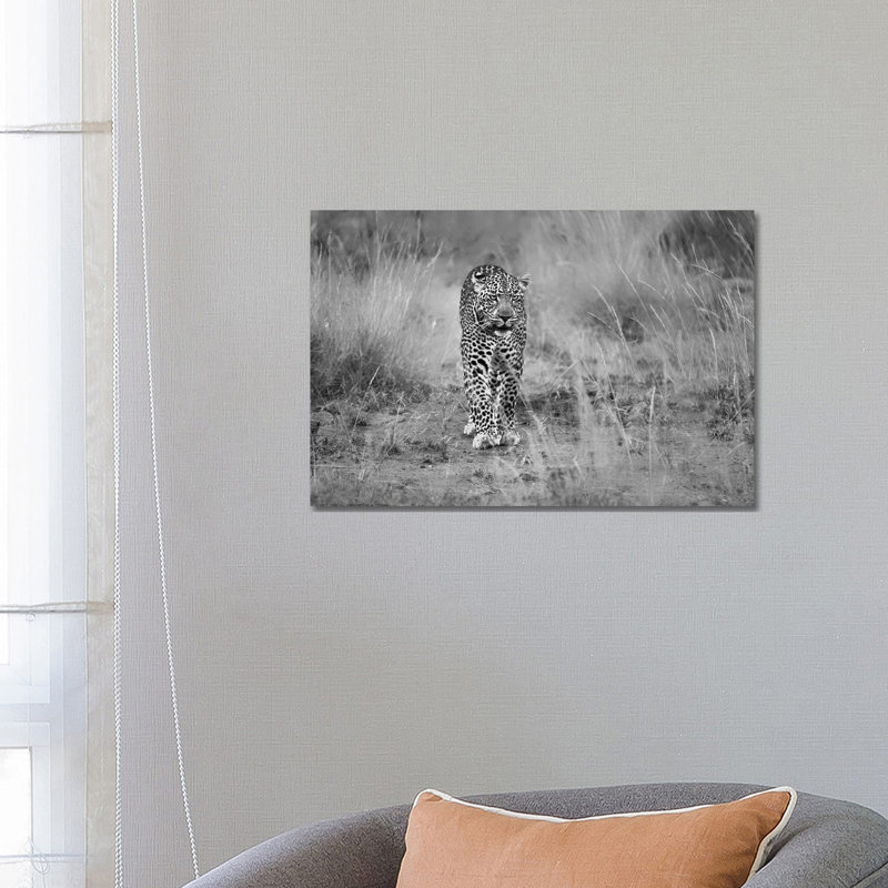 Untitled by Massimo Mei - Wrapped Canvas Print, 66.04 cm H x 45.72 cm W x 1.91 cm D