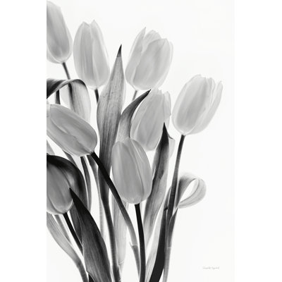 Ombres et lumière II