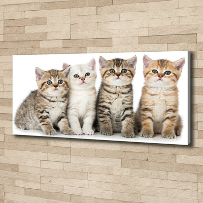Small Cats 1 Piece Wrapped Canvas Wall Art